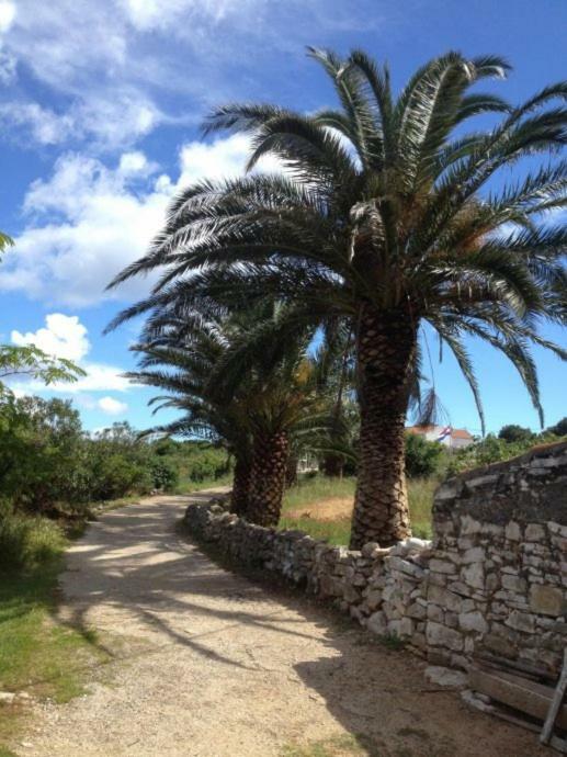 Villa House Sakarun Veli Rat Esterno foto